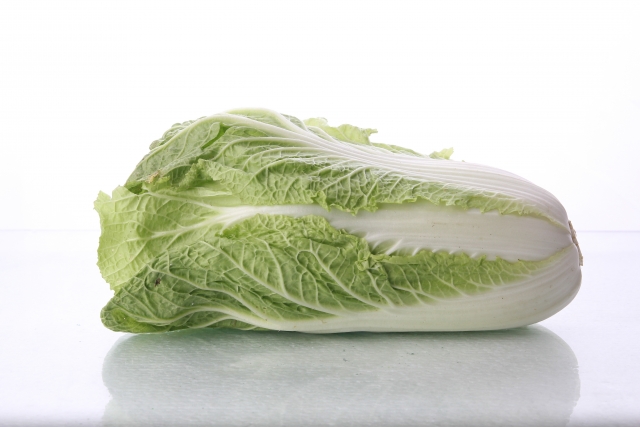 napa-cabbage