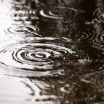 rain-water